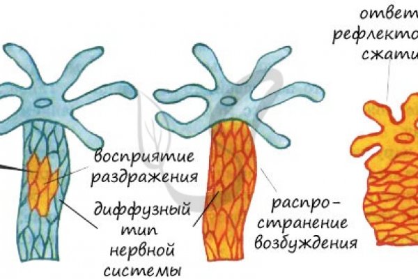 Кракен сайт ссылка kraken 11