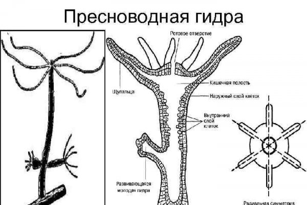 Ссылка на кракен реальная